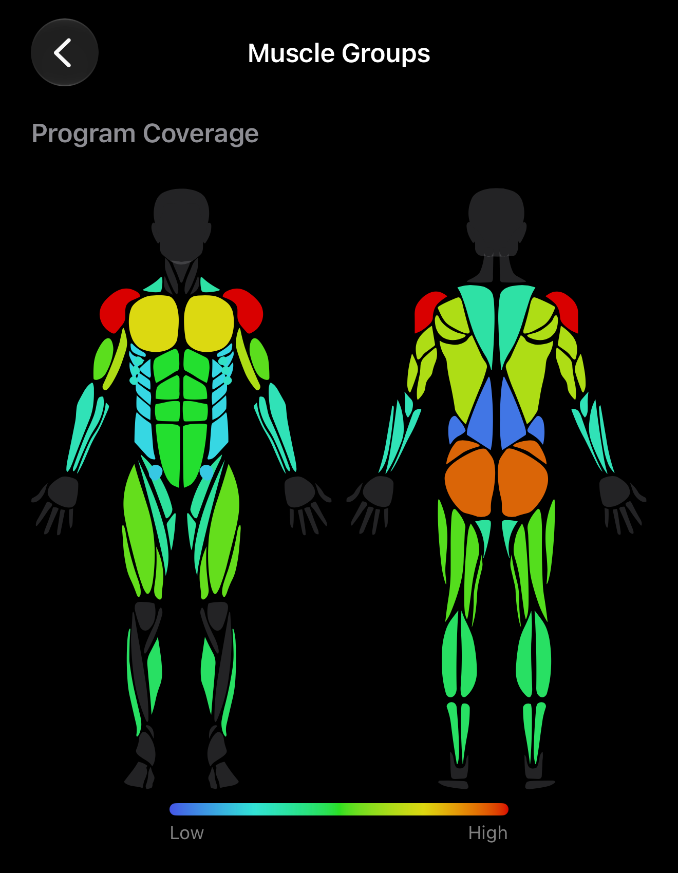 Muscle coverage